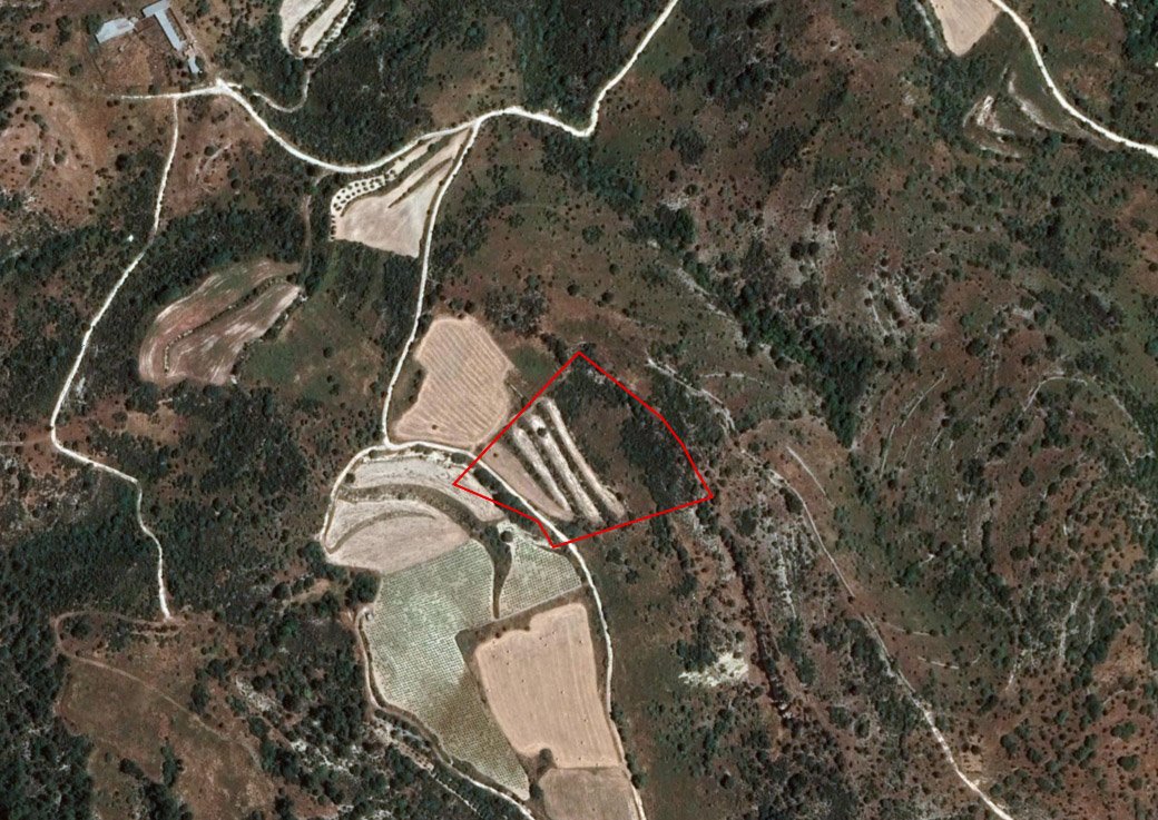 Field in Dora, Limassol photo 1