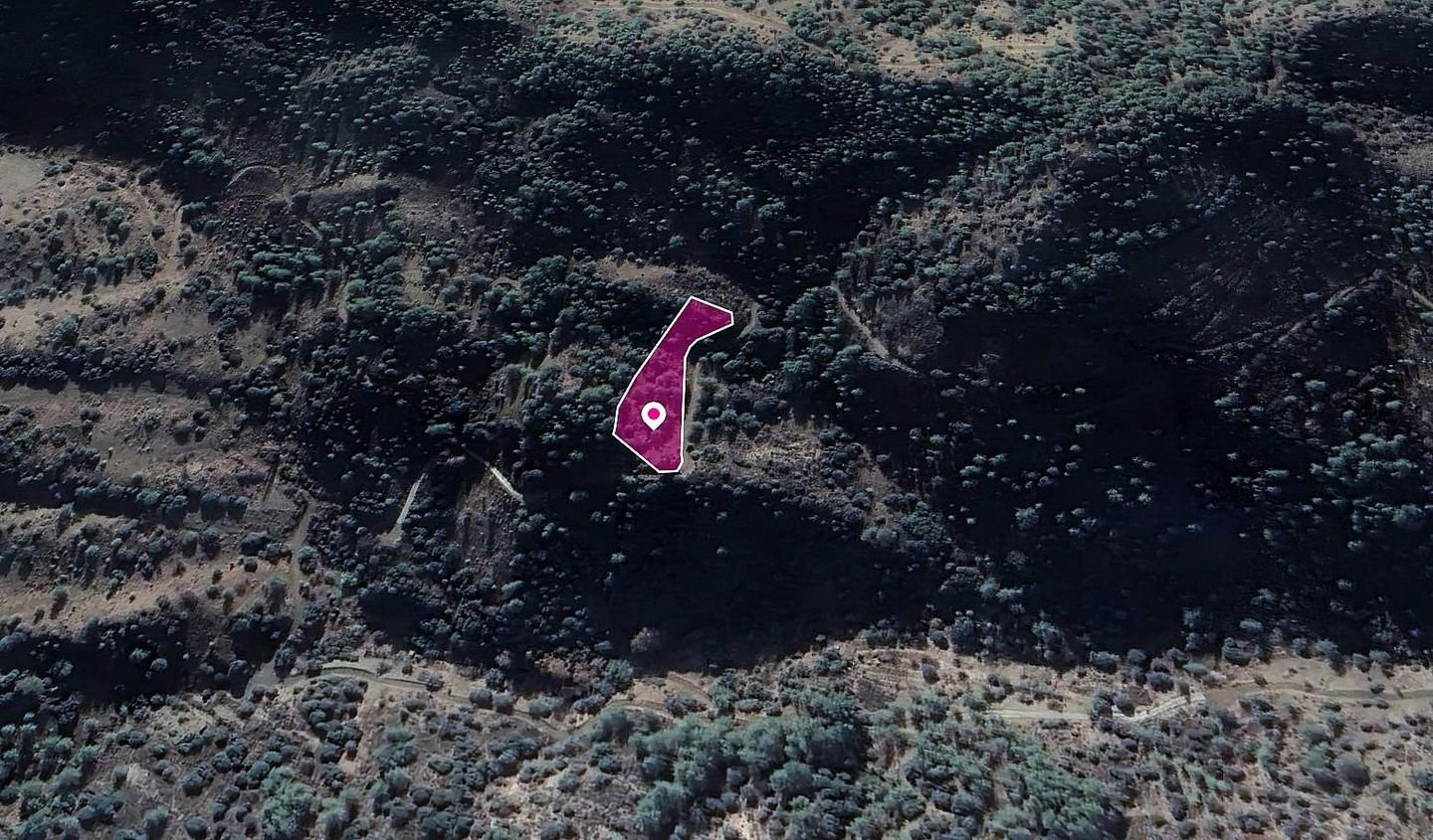 Field, Kaminaria, Limassol photo 3