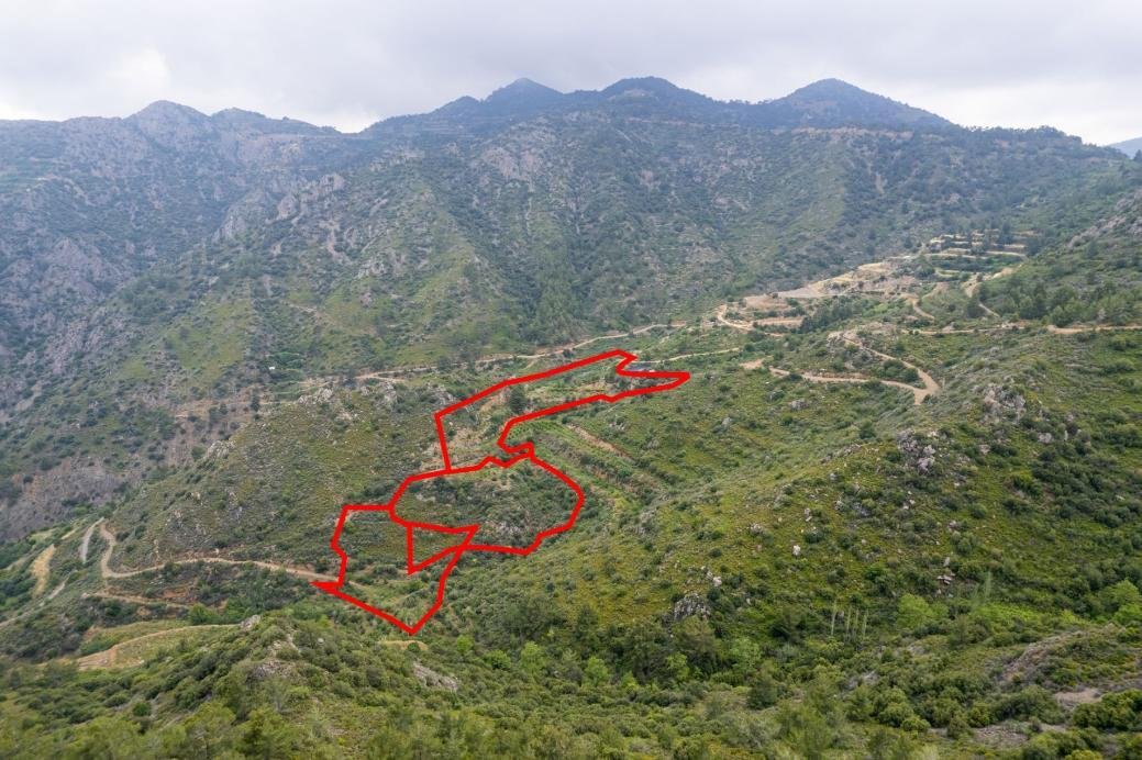 Field in Agioi Vavatsinias, Larnaca photo 3