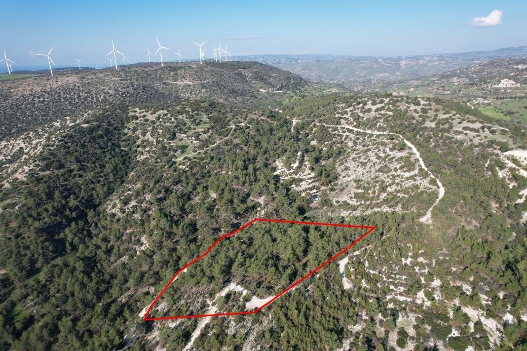Shared field in Pano Archimandrita, Paphos photo 5
