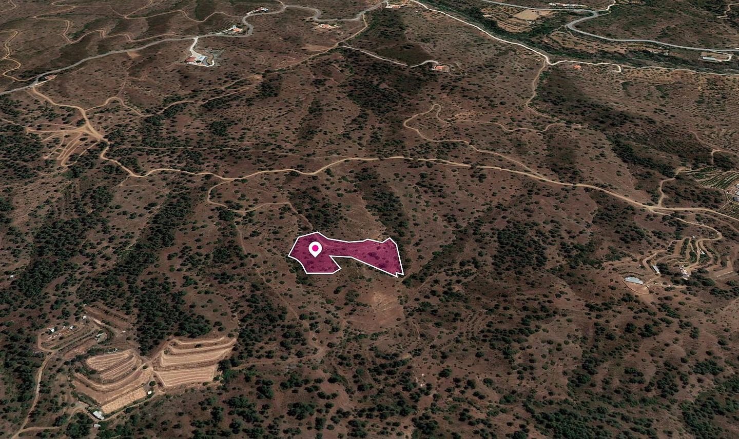 Field in Gourri, Nicosia photo 3