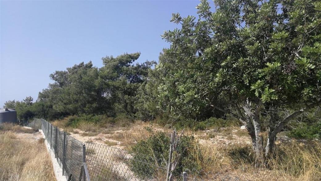 Shared field in Neo Chorio, Paphos photo 2