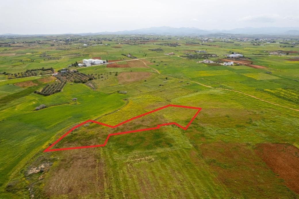 Agricultural field in Palaiometocho, Nicosia photo 2