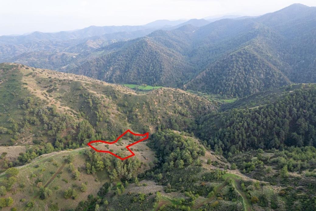 Shared agricultural field in Pigenia, Nicosia photo 2