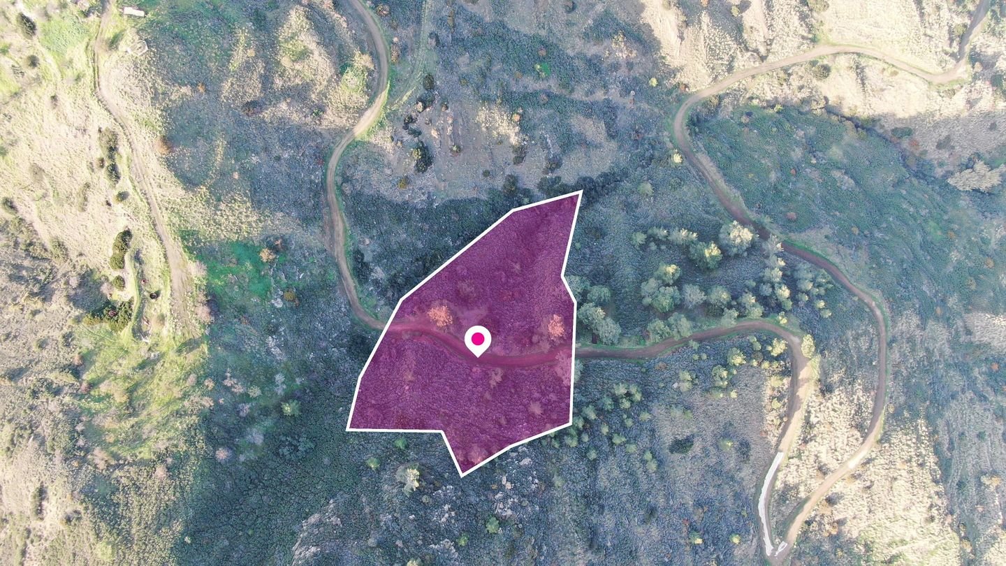 Residential field located in Pigenia, Nicosia photo 5