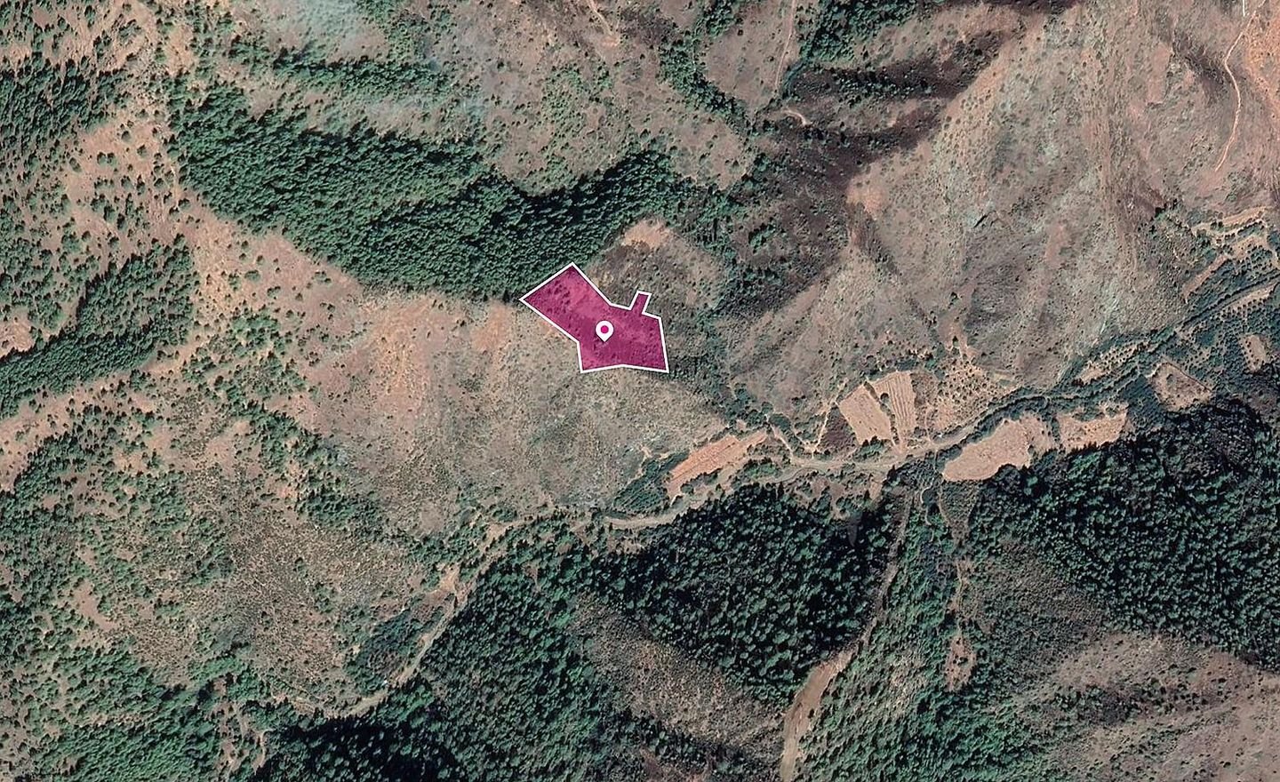 Agricultural field in Pigenia, Nicosia photo 4