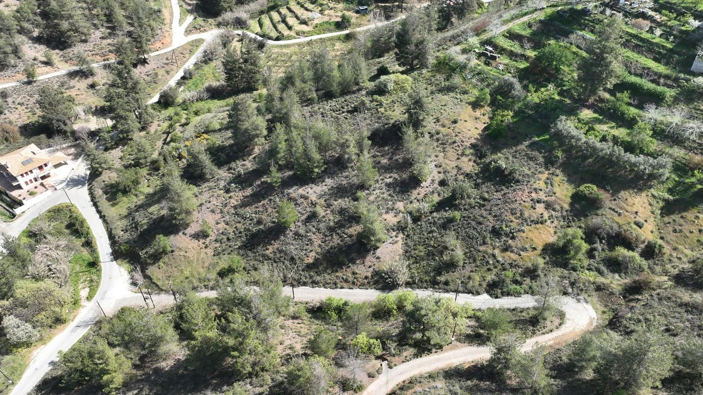 17% Distributed Share of a residential field,in Kakopetria, Nicosia photo 5