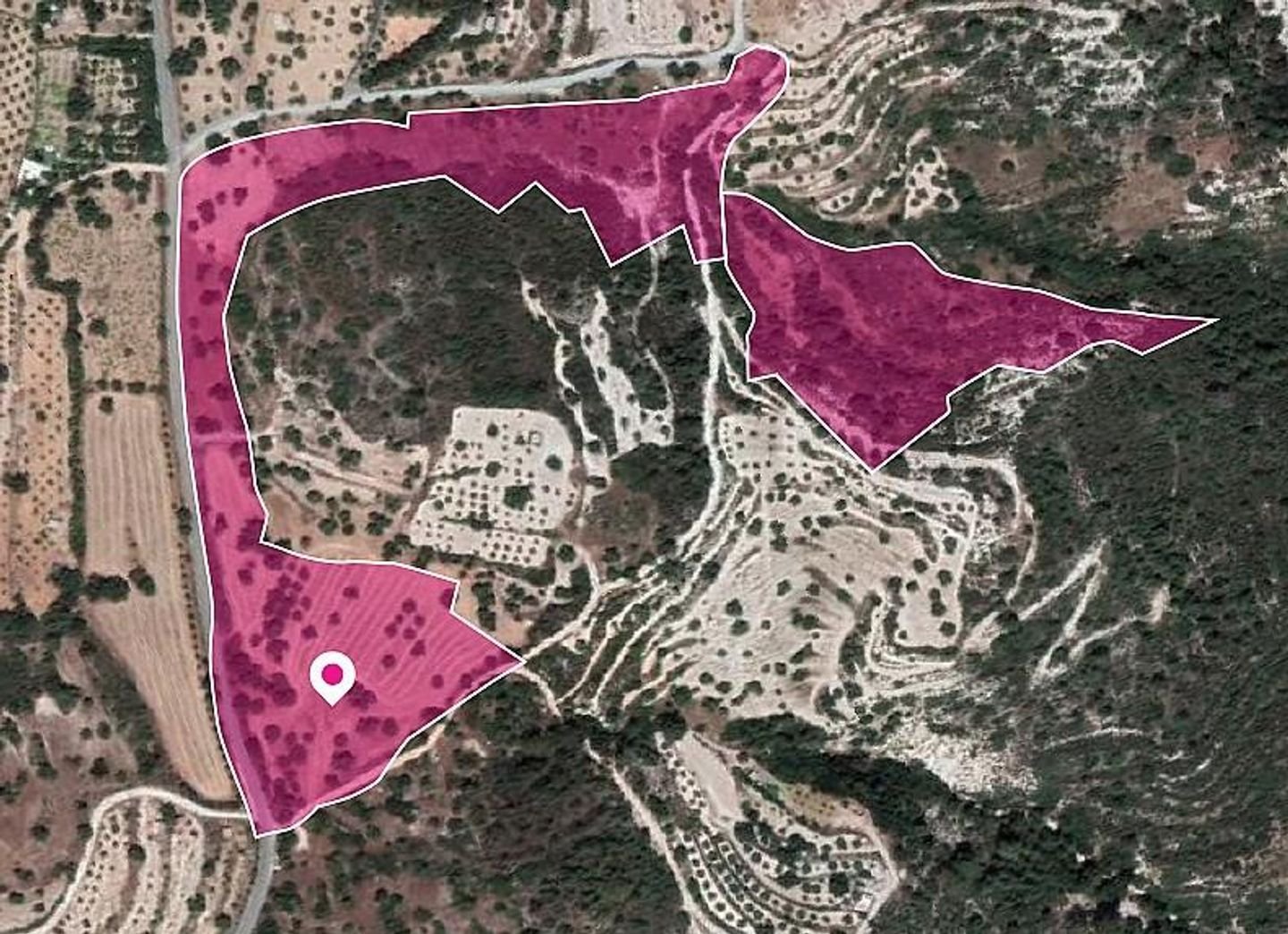 Shared Fields Apsiou, Limassol photo 4