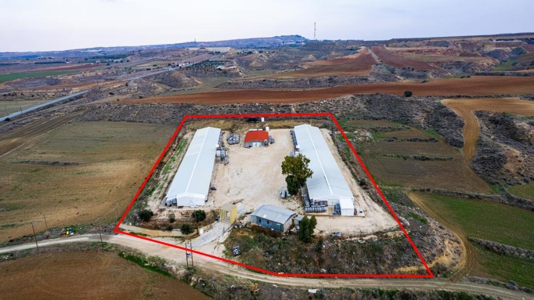 Field with a poultry farm in Agios Ioannis Malountas, Nicosia photo 4