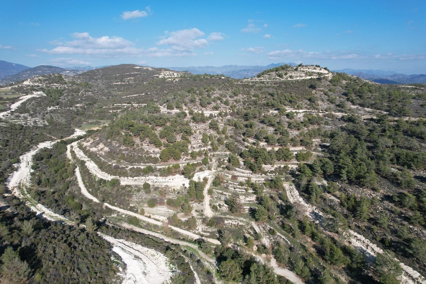 Agricultural field, Laneia, Limassol photo 4