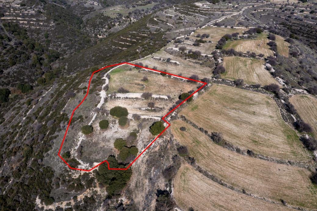 Field in Dora, Limassol photo 3