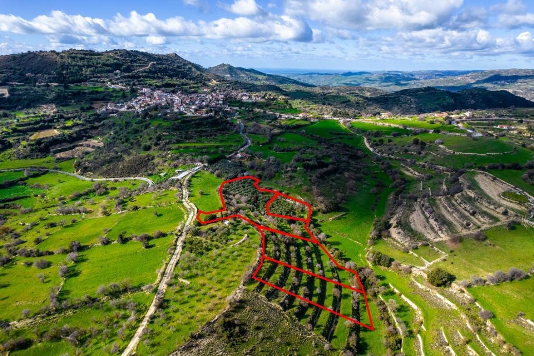 Residential fields in Dora, Limassol photo 3