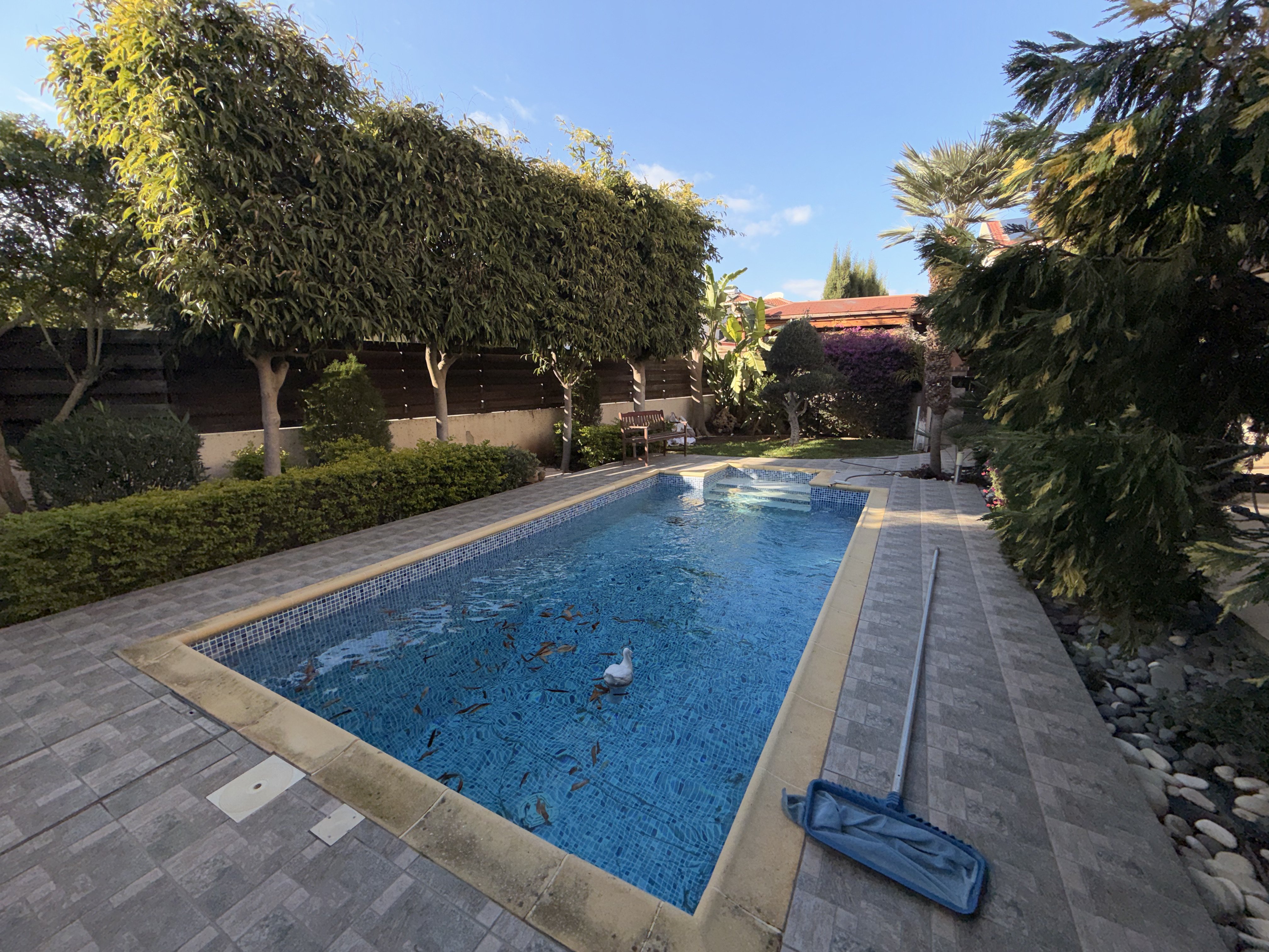 4 BR Villa in Germasogeia, Limassol photo 19