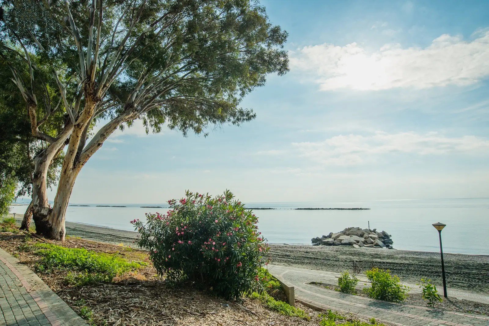 3 BR Seafront Apartment in Agios Tychonas, Limassol photo 14