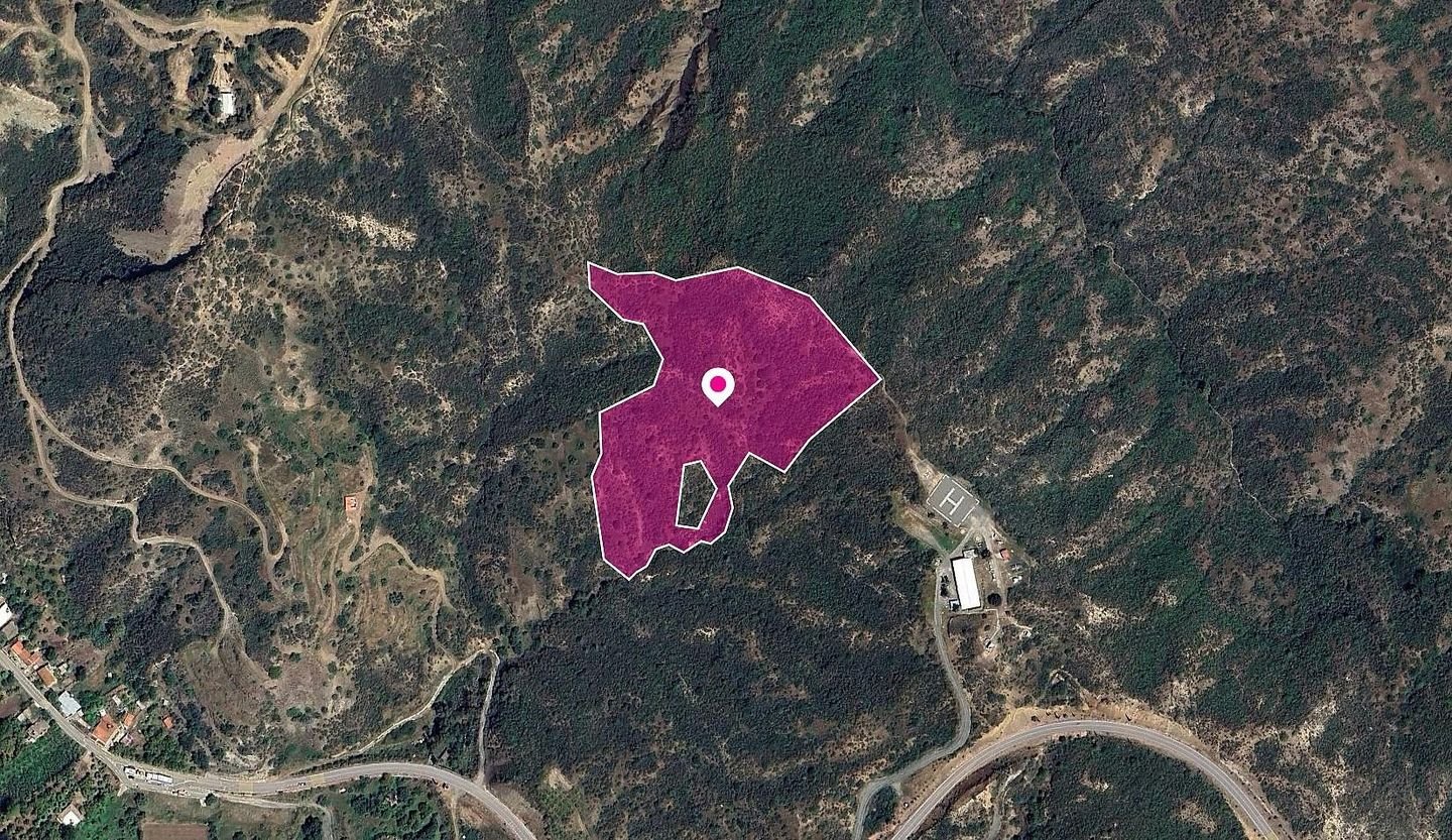 (Share) Agricultural Field in Kato Pyrgos, Nicosia photo 3