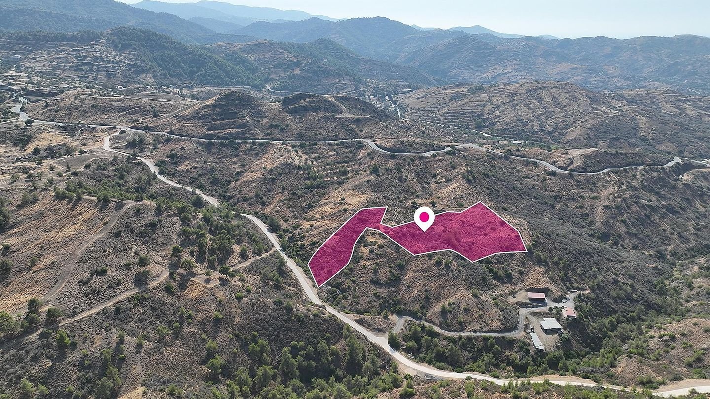 Field in Pano Pyrgos, Nicosia photo 2