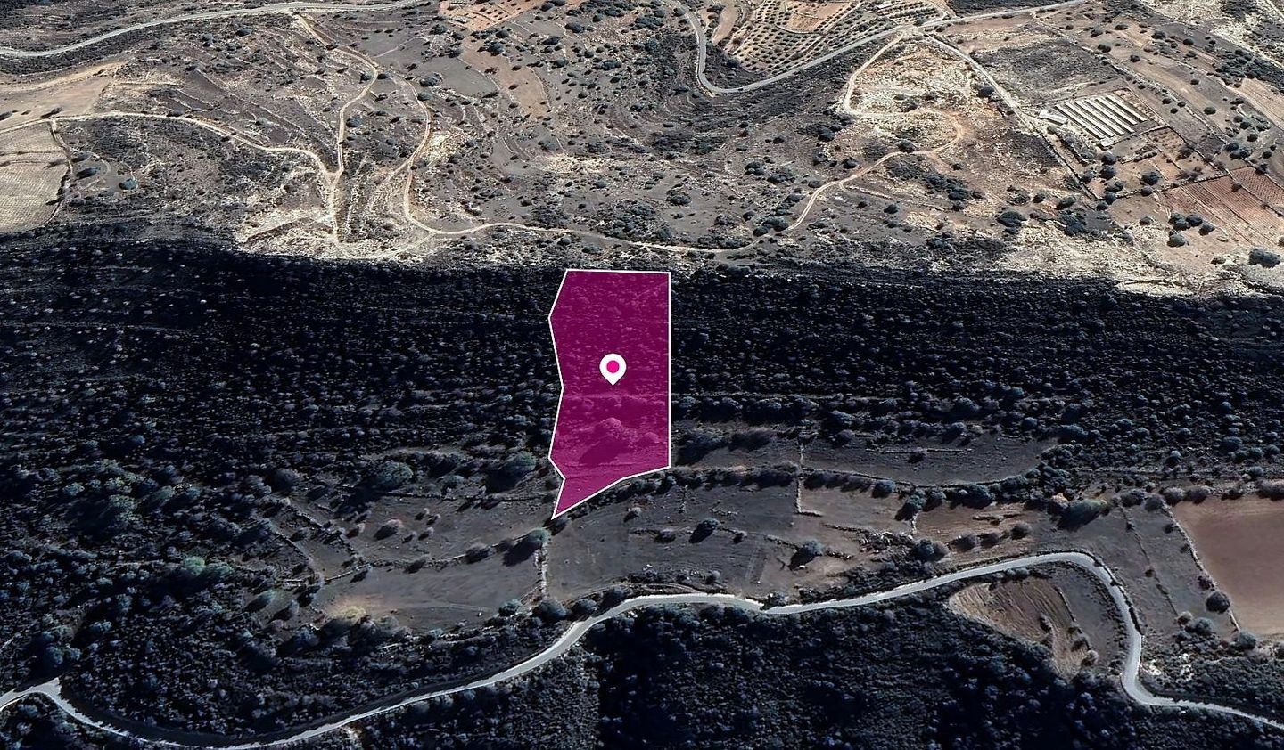 Agricultural Field, Pachna, Limassol photo 3