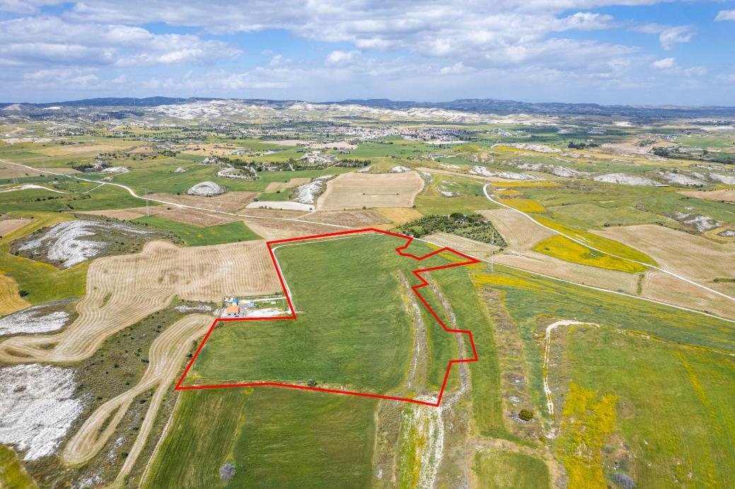 Agricultural field in Kalo Chorio, Larnaca photo 5