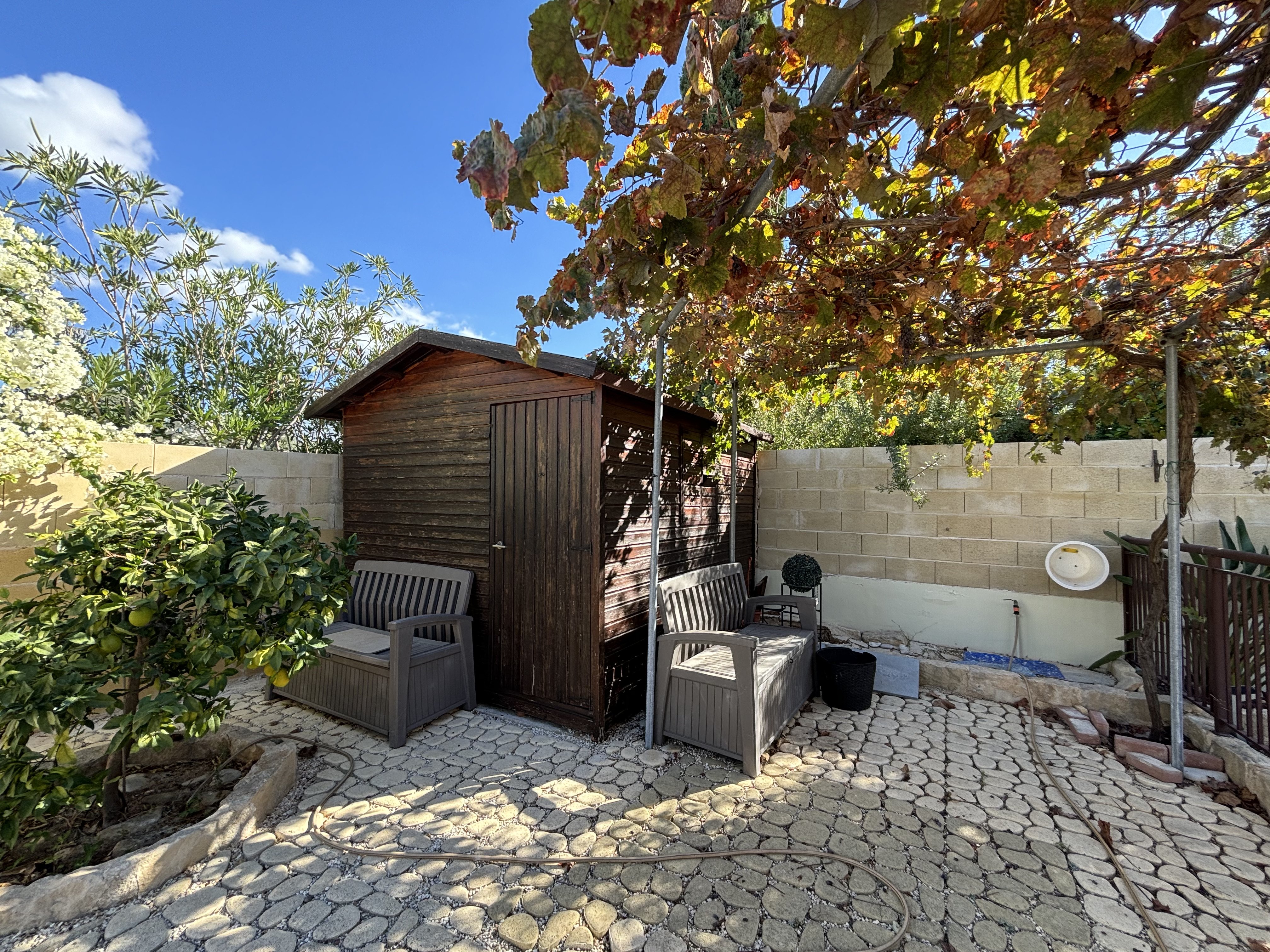 4 BR Villa in Kouklia, Paphos photo 25