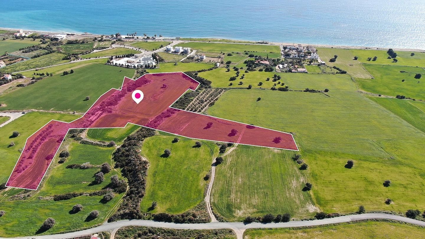 (Share) Touristic Field in Agios Theodoros, Larnaca photo 3