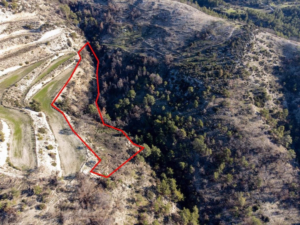 Field in Pano Archimandrita, Paphos photo 3