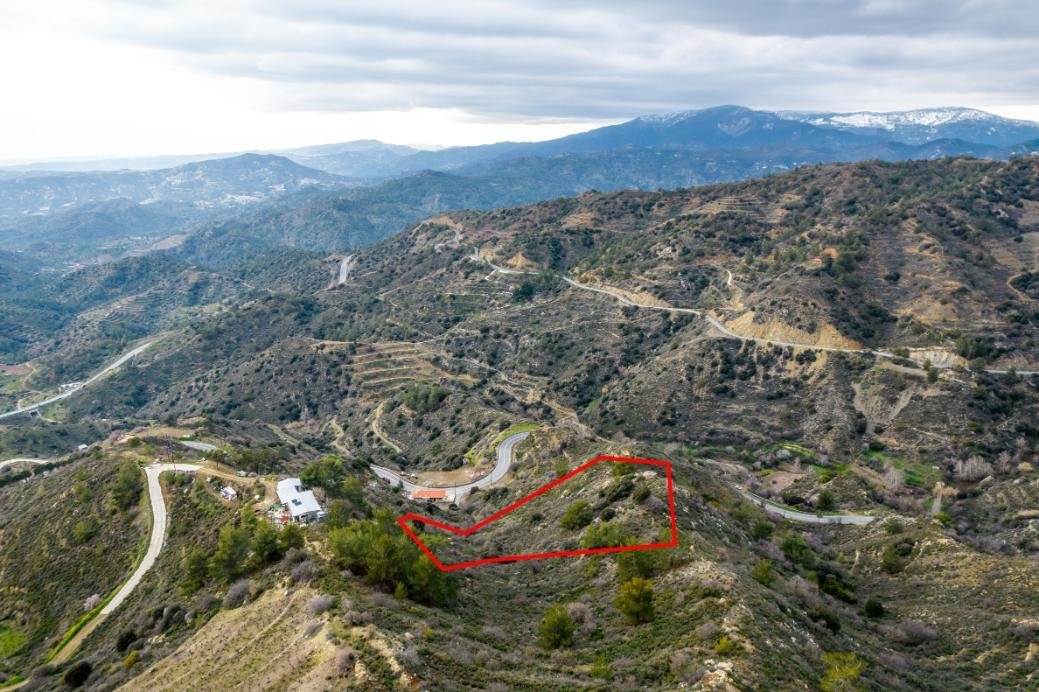 Shared agricultural field in Zoopigi, Limassol photo 3