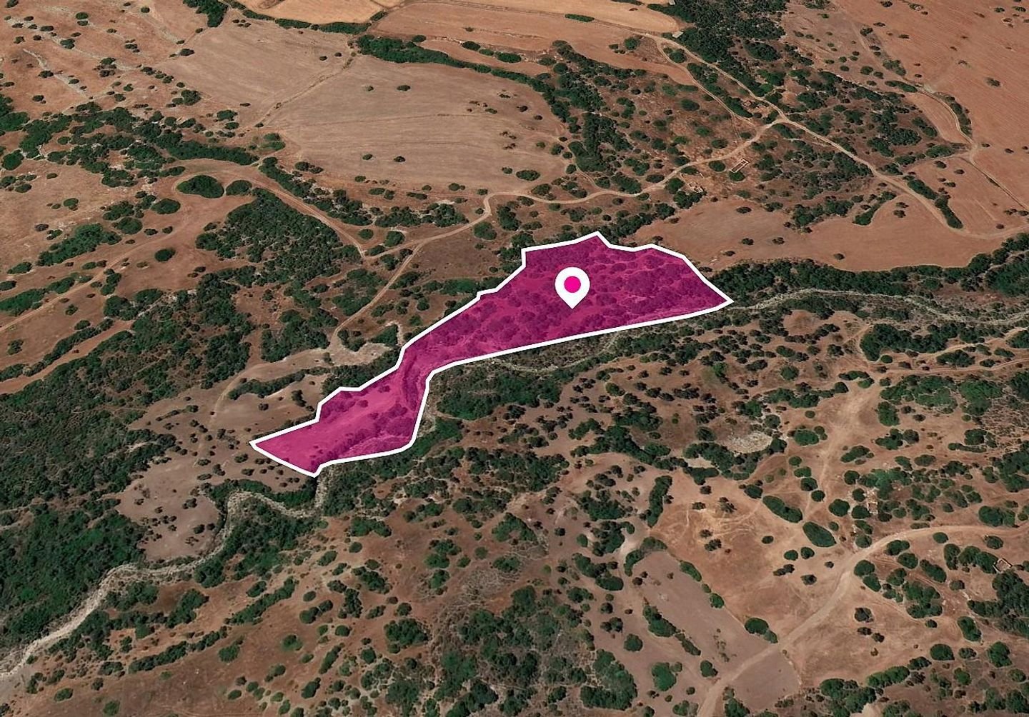 Shared Field, Kato Arodes, Paphos photo 2