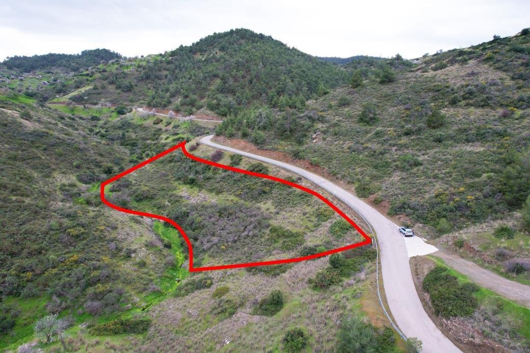 Field in Pano Pyrgos, Nicosia photo 4
