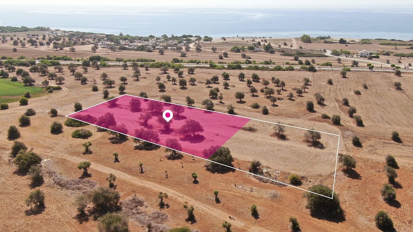 75% Share of a Touristic Field in Mazotos, Larnaca photo 4