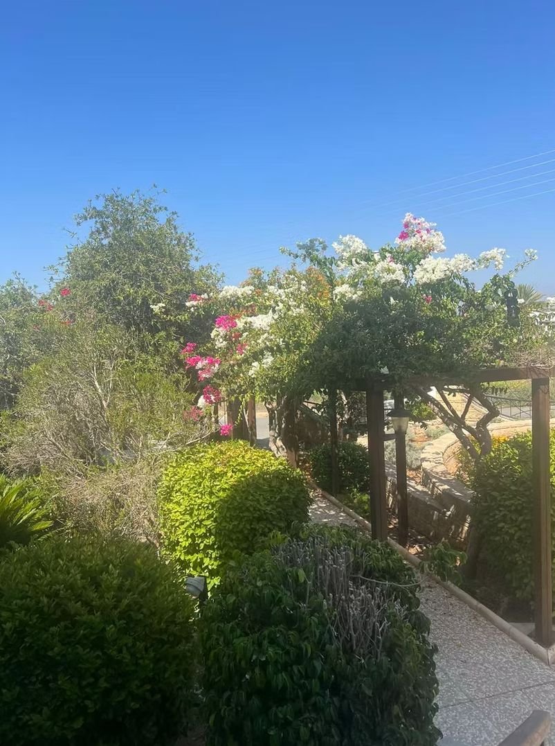 4 BR Villa in Tala, Paphos photo 9