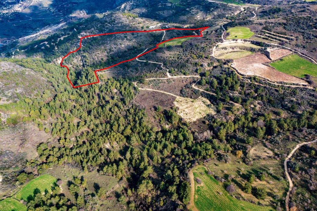 Shared field in Dora, Limassol photo 2