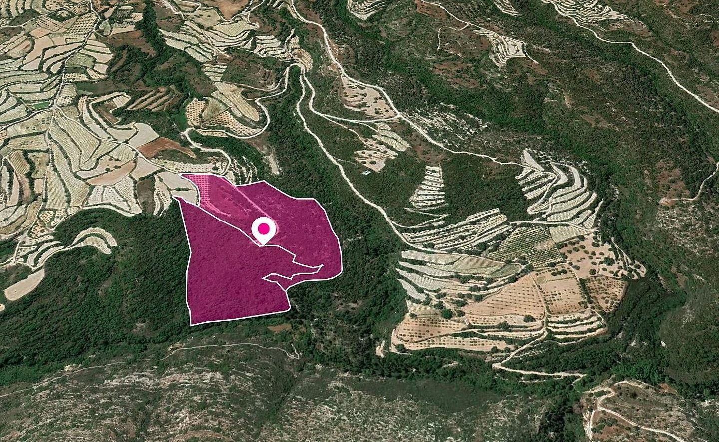 (Share) Agricultural Fields, Koili, Paphos photo 2