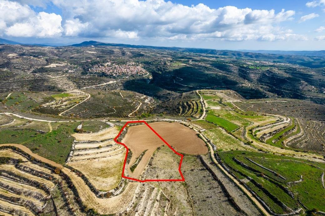 Field in Arsos, Limassol photo 4