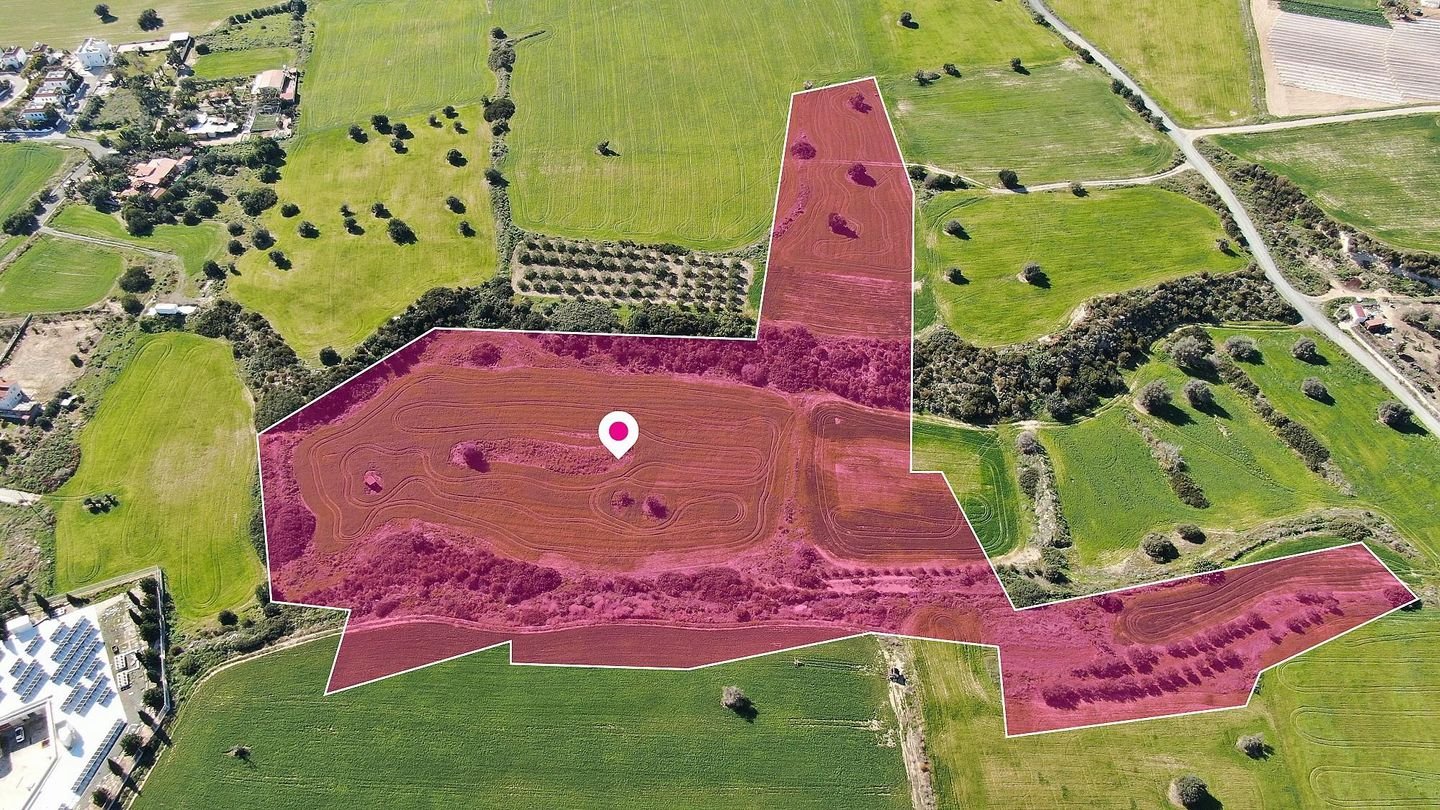 (Share) Touristic Field in Agios Theodoros, Larnaca photo 4