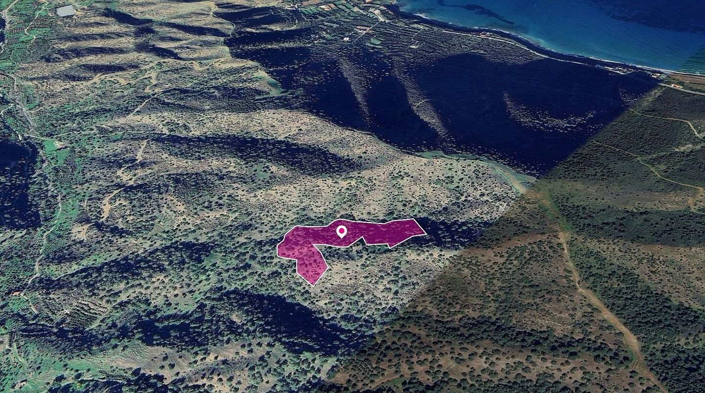 (Share) Field, Pomos, Paphos photo 3