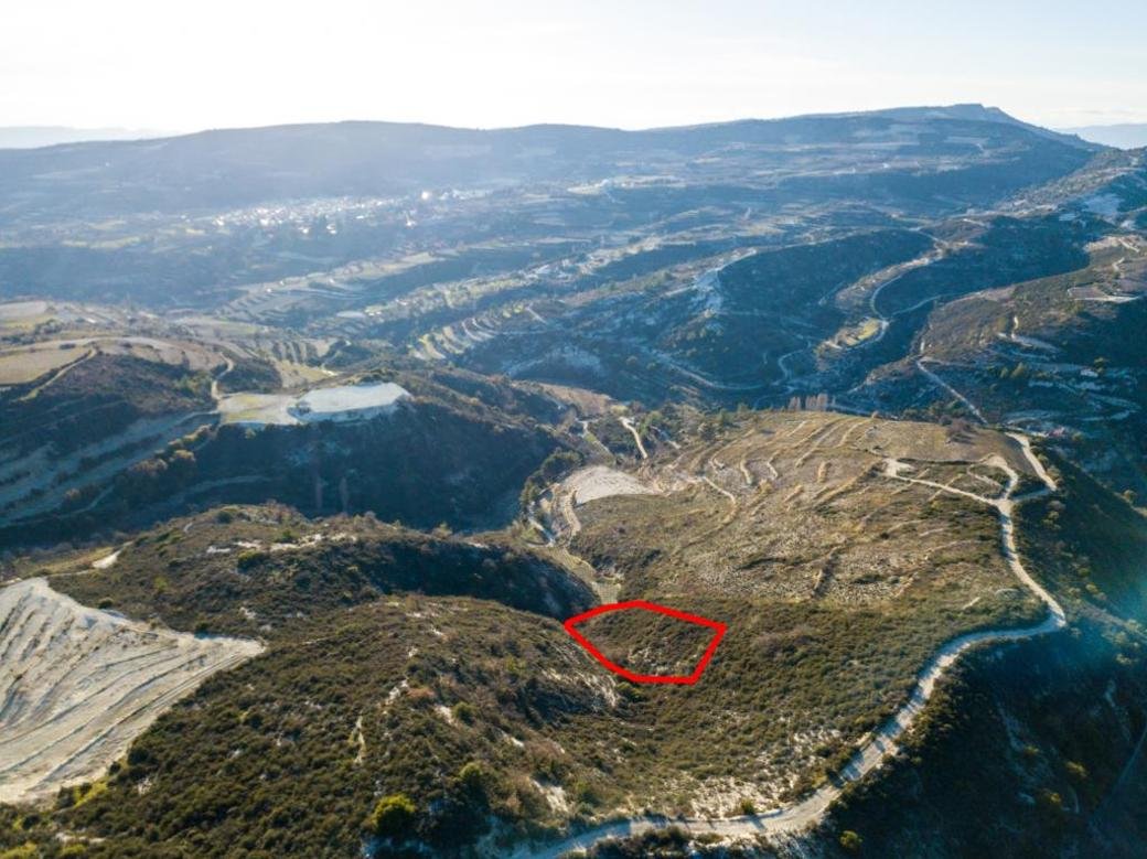Agricultural field in Omodos, Limassol photo 2