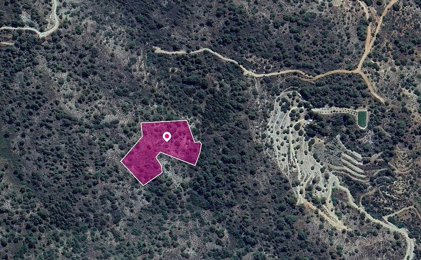 Field in Kalo Chorio Community, Limassol photo 2