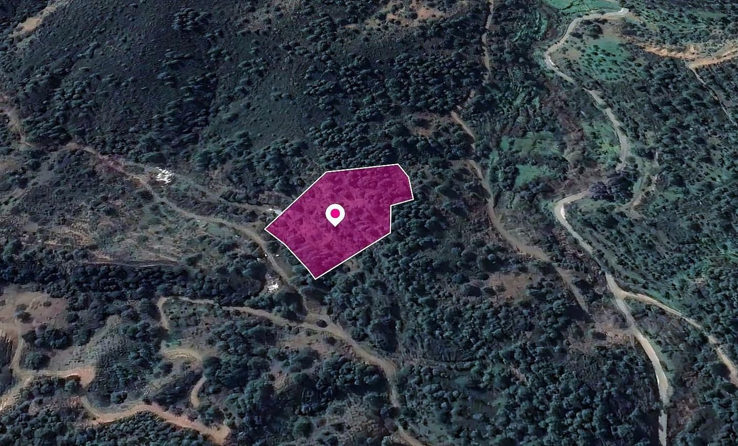 Field, Kampos, Nicosia photo 3