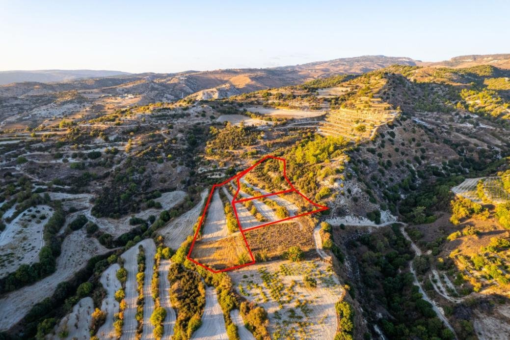 Three agricultural fields in Amargeti, Paphos photo 4