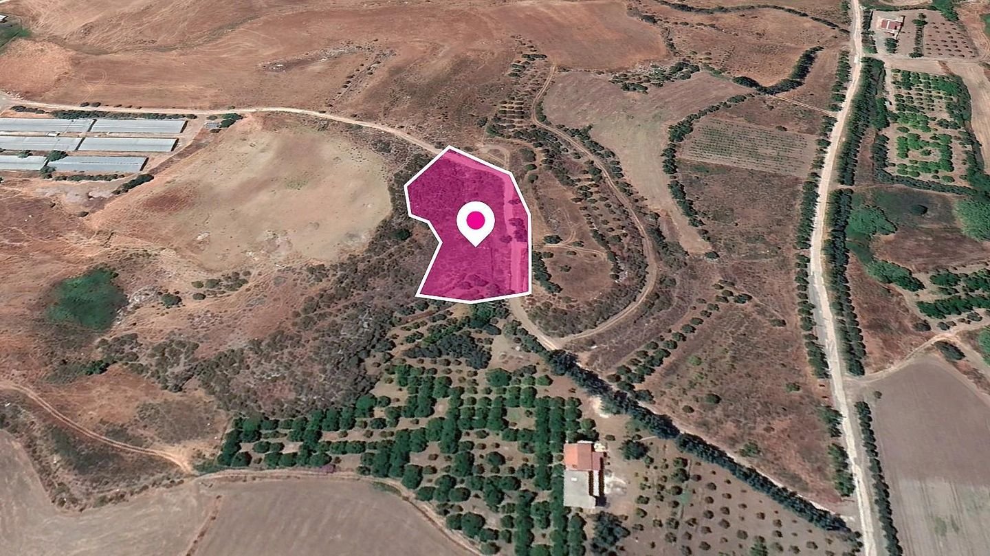 Residential field, Agia Varvara photo 3