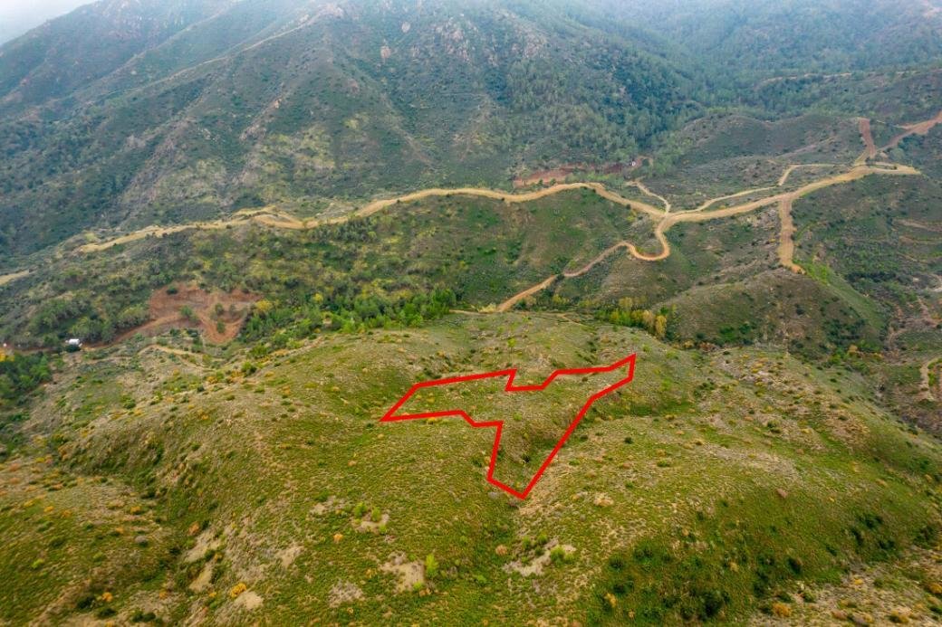 Field in Lythrodontas, Nicosia photo 3