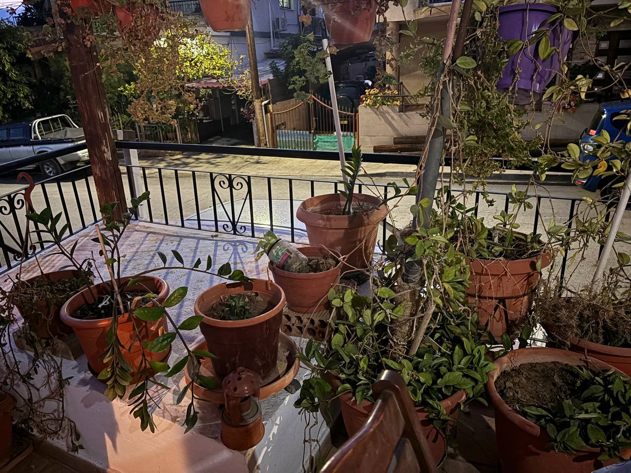 2 BR House in Agia Fyla, Limassol photo 19