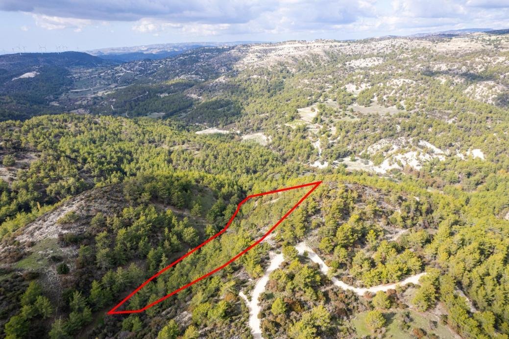 Shared field in Anogyra, Limassol photo 3