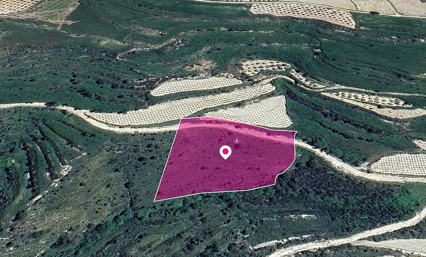 Field, Koili, Paphos photo 3