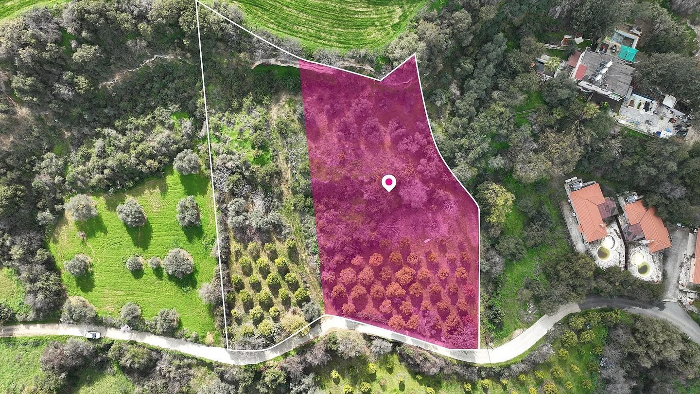 (Share) Residential field located Skoulli, Paphos photo 3