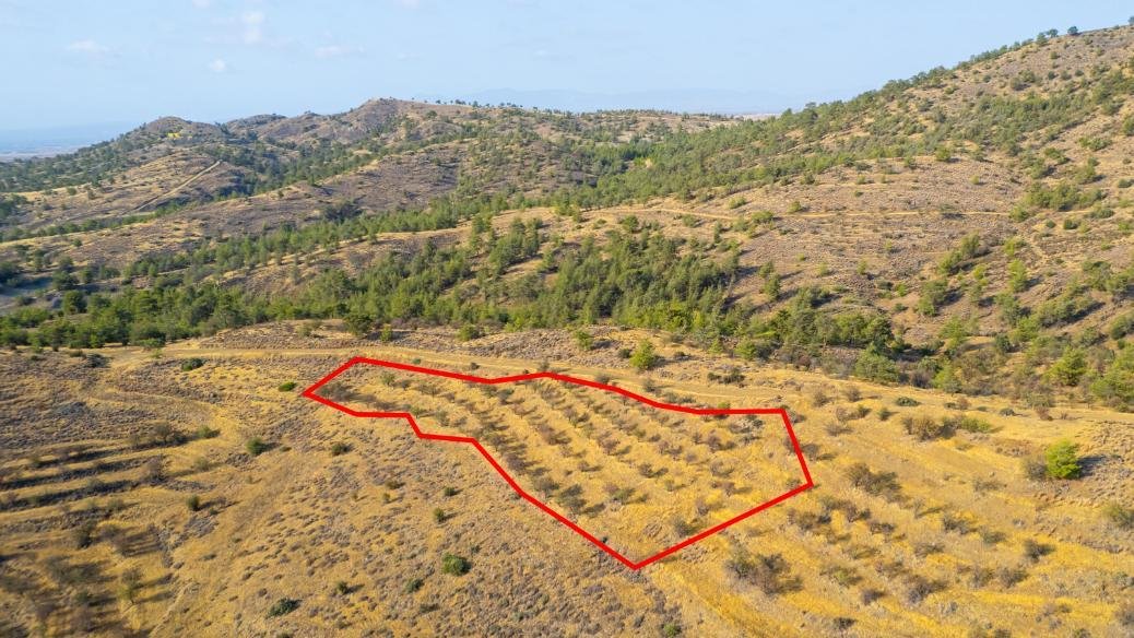 Field in Agia Marina Xyliatou, Nicosia photo 3