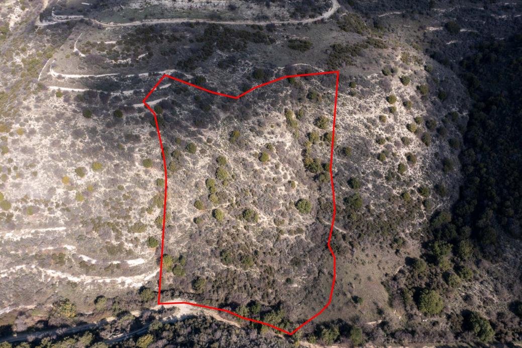 Field in Dora, Limassol photo 3