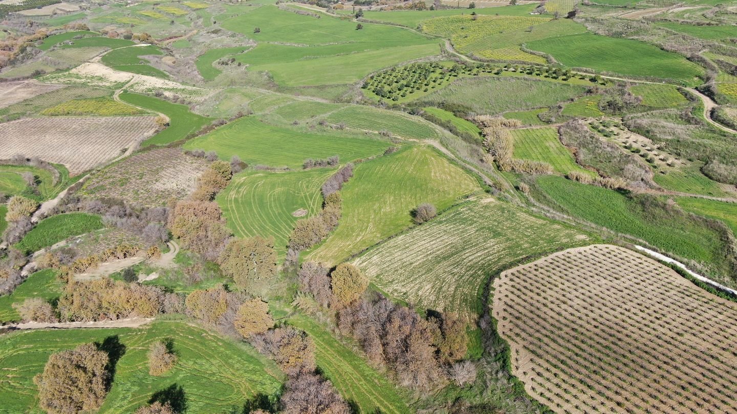 Agricultural Field, Stroumbi, Paphos photo 4