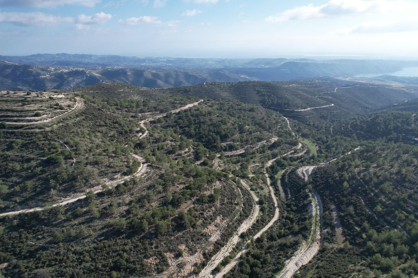 Agricultural field, Laneia, Limassol photo 2