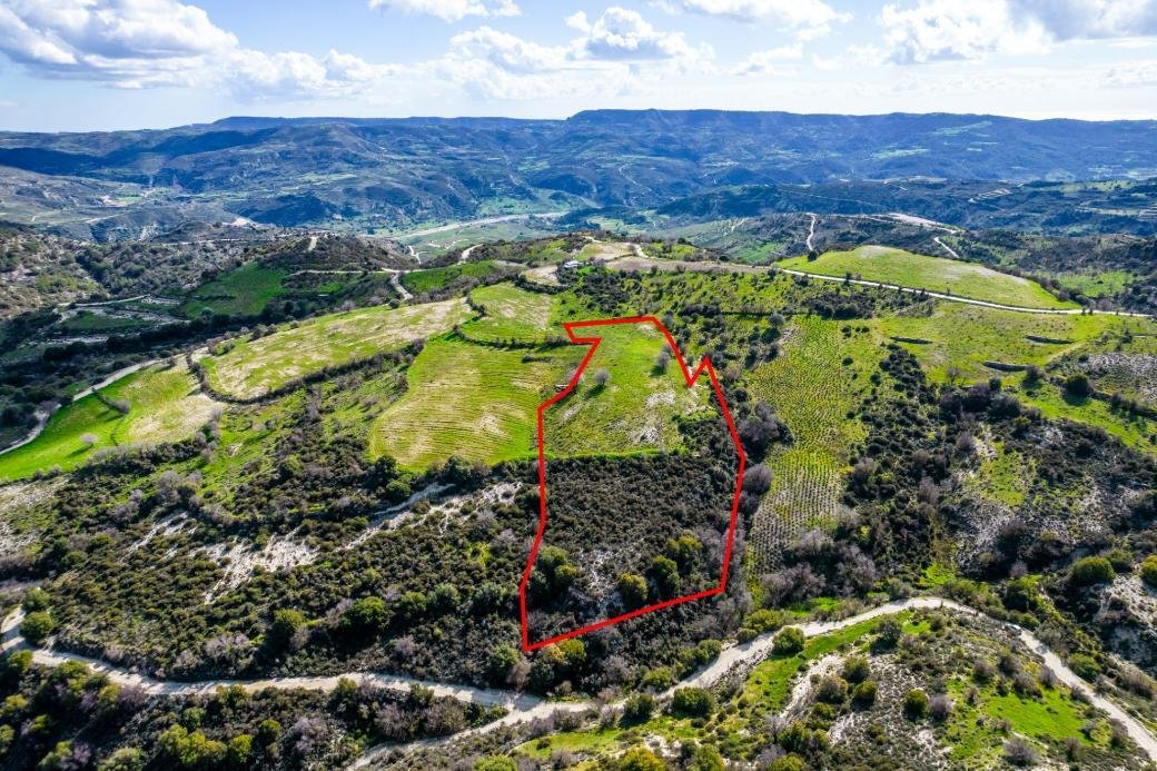 Shared agricultural field in Salamiou, Paphos photo 4